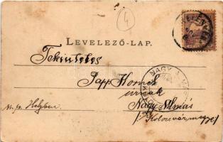 Belényes, Beius; Leányinternátus. Sonnenfeld A. kiadása / boarding school for girls (fl)