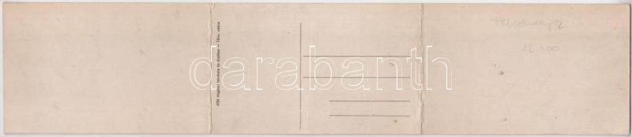 Felsőbánya, Baia Sprie; Bódi-tó. 3-részes kihajtható panorámalap, Vagányi felvétele és kiadása / Lac...