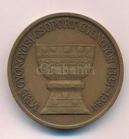 1984 "MÉE Gyöngyösi csoport - Gyöngyös 1334-1984 bronz piefort emlékérem (42,5mm) T:UNC, AUNC