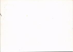 1938 Deutschland, deine Kolonien! Reichskolonialbund Drei koloniale Tage Dresden. Deutsche Sammlerge...