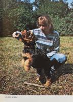 dr. Kováts Judit: Kutyaiskola. Bp., 1986, Gondolat. Kiadói kartonált kötés, gerinc sérült, kopottas ...