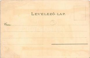 Budapest VIII. Nemzeti Múzeum télen. Kuenstlerpostkarte No. 2122. von Ottmar Zieher. litho s: Raoul ...