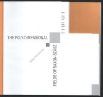 Géza Perneczky: The Poly-dimensional Fields of Saxon-Szász. A művész, Saxon Szász János (1964-) fest...