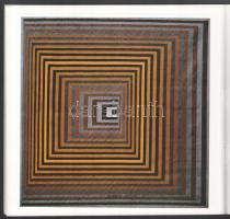 Hárs Éva: Vasarely Múzeum Pécs. Pécs, 1976, Janus Pannonius Múzeum. Színes és fekete-fehér képekkel ...