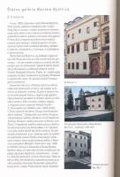 Státna Galéria Banská Bystrica 1956-1996. Szerk.: Branislav Rezník. Kiállítási katalógus. 82p. Papír...