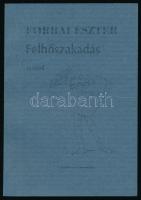 Forrai Eszter: Felhőszakadás. Versek, 1998-1999. A szerző, Forrai Eszter (1938-) által DEDIKÁLT példány! Bp., 2001, Széphalom. Kiadói papírkötés.