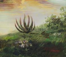 Gallyas Mária (-): Vízparti táj. Olaj, vászon. Jelezve jobbra lent. Dekoratív fakeretben. 60x50 cm