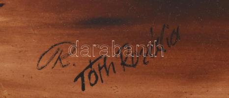 Tóth Rozália (1946-2015): Tanya. Olaj, vegyes technika, farost. Jelezve balra lent. Fakeretben. 40x8...