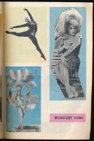 1968 "Folytassa Hacsek...!" kamara varieté színes prospektus