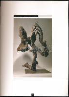 Morph. Szerk.: Zsigmond Attila. Kiállítási katalógus magyar és angol nyelven Drabik István, Gaál Józ...