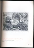 Giovanni Battista Piranesi. Válogatás a Magyar Képzőművészeti Egyetem könyvtárának grafikai gyűjtemé...