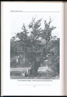 Értékek és konfliktusok. (Salgótarján és Nógrád megye kulturális élete a hatvanas években). Szerk.: ...