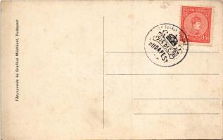 IV. Károly király / Charles I of Austria + "IV. Károly király koronázása napján Budapest 1916. ...