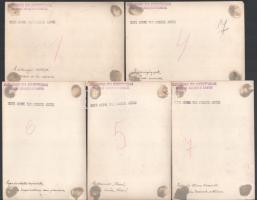 cca 1920 Mezőgazdasági Ipar és Részvénytársaság mezőhegyesi cukorgyára és finomítója, 5 db fotó, hát...