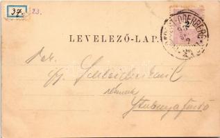 1898 (Vorläufer) Zólyom, Zvolen; látkép, vár. Ivánszky Elek kiadása / general view, castle. Art Nouv...