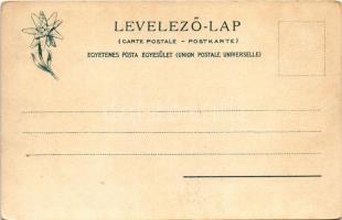 1904 Barlangliget, Höhlenhain, Tatranská Kotlina (Tátra, Magas Tátra, Vysoké Tatry); Landoki híd víz...