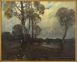 Komáromi Kacz Endre (1880-1969): Alak a vízparton. Olaj, karton. Jelezve balra lent. Sérült. Dekorat...