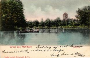 1903 Szászsebes, Mühlbach, Sebes; Stadtpark / városi kert, tó csónakázókkal. Adolf Weissörtel & Co. kiadása / park, lake with rowing boat