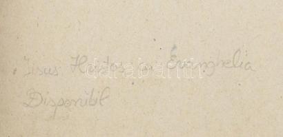 Pantokrator Krisztus cédruslevelekkel . Üvegikon, Erdély, füzesmikolai (Nicula, Ro) ikon iskola. Far...