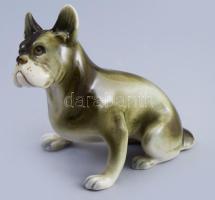 Royal Dux buldog. Jelzett, m: 12 cm