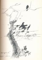 Matyikó Sebestyén József: Nádasok zsoltára. DEDIKÁLT! Debrecen, 1995, Ethnica. Kiadói papírkötés, jó...