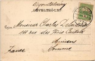 1902 Temesvár, Timisoara; Józsefváros, Hunyadi út. Polatsek kiadása / street view (EK)