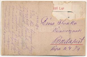 1916 Nagykároly, Carei; Tisztviselőtelep. leporellólap 10 képpel, közte Nagykároly 100 év múlva a jö...