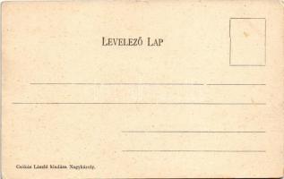 Nagykároly, Carei; Gróf Károlyi kastély. Csókás László kiadása / Castelul contelui Károlyi / castle ...