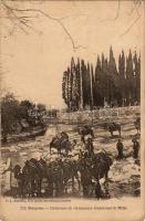 Izmir, Smyrne; Caravane de chameaux traversant le Meles / camel caravan crossing the river Meles (EK)