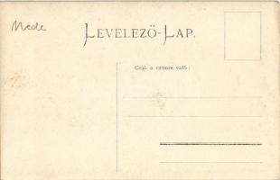 Nedec, Niedzica (mai Lengyelország, Magas-Tátra); Nedecz vára / Schloss Nedecz / Zamek / castle. pho...