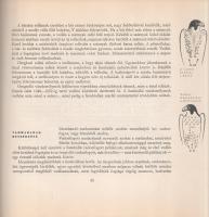 Bástyai Lóránt: 
Vadmadárból - vadászmadár.
Budapest, 1955. Művelt Nép Tudományos és Ismeretterjes...