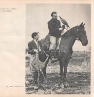 Bástyai Lóránt: 
Vadmadárból - vadászmadár.
Budapest, 1955. Művelt Nép Tudományos és Ismeretterjes...