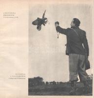 Bástyai Lóránt: 
Vadmadárból - vadászmadár.
Budapest, 1955. Művelt Nép Tudományos és Ismeretterjes...