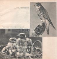 Bástyai Lóránt: 
Vadmadárból - vadászmadár.
Budapest, 1955. Művelt Nép Tudományos és Ismeretterjes...