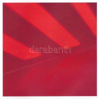 Günter Baumann: Sebestyén Sára. A geometria diszkrét bája. A művész, Sebestyén Sára (1970-) által AL...