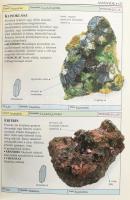 Chris Pellant: Kőzetek és ásványok. Bp., 2008, Taramix. Kiadói kartonált papírkötés, gazdag képanyag...