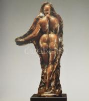 Tóth Ferenc (szerk.): A nő. Gaston Lachaise művészete. Kiállítási katalógus. Bp., 2005. Szépművészet...