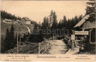 1905 Sonnwendstein, Friedrich Schüler-Alpenhotel, C. Lindner's Alpengastwirtschaft / alpine hotel, inn