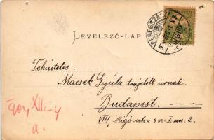 1904 Beregszász, Beregovo, Berehove; Kossuth tér, piac, Szálloda az Arany Oroszlánhoz, Berger Lipótn...