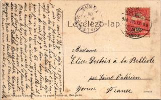 1908 Beregszász, Beregovo, Berehove; Kossuth Lajos tér, Landau Emanuelné, Farkas J. üzlete és saját ...