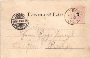 1899 (Vorläufer) Felsőlövő, Oberschützen; látkép, villa, nevelőintézet / general view, villa, boardi...