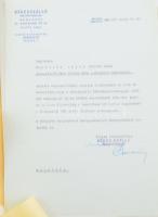 1933-1945 Matits Lajos (1902-1972) a Kékes-Szálló magaslati gyógyintézet főorvosának Kékes-Szállóval...