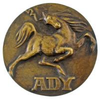 Pátzay Pál (1896-1979) DN "Ady" kétoldalas, öntött bronz plakett (~83-84mm) T:XF / 
Hunga...