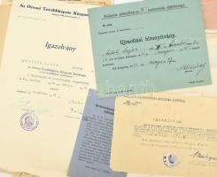 cca 1925-1964 Matits Lajos (1902-1972) a Kékes-Szálló magaslati gyógyintézet főorvosának irat-hagyat...