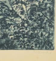 Maurer Dóra (1937- ): Tabán a Gellérthegyről. Rézkarc, papír, jelzett, üvegezett fakeretben. 30x39 c...