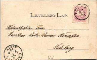 1898 (Vorläufer) Tolna, részletek. Art Nouveau, floral