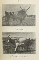 Dr. Hankó Béla: Magyar házi szarvasmarháink eredete. Mezőgazdasági Múzeum füzetei 3. Bp., 1957, Mező...