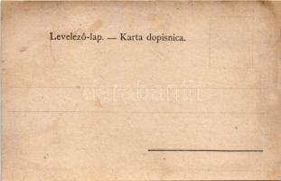 Diósgyőr (Miskolc), Papírgyár. Ferenczi Károly kiadása (r)