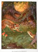 Bonsels, Waldemar: Himmelsvolk. Ein Märchen von Blumen, Tieren und Gott. Mit zwölf mehrfarbigen Bild...