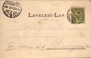 1904 Kaposvár, Korona utca, Korona szálloda, üzletek. Szabó Lipót kiadása